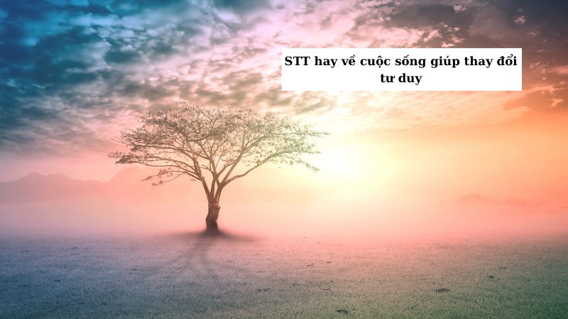 STT hay về cuộc sống giúp thay đổi tư duy