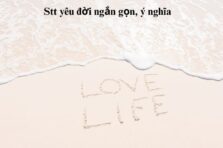 555+ Stt yêu đời vui vẻ, lạc quan giúp bạn vượt qua mọi khó khăn