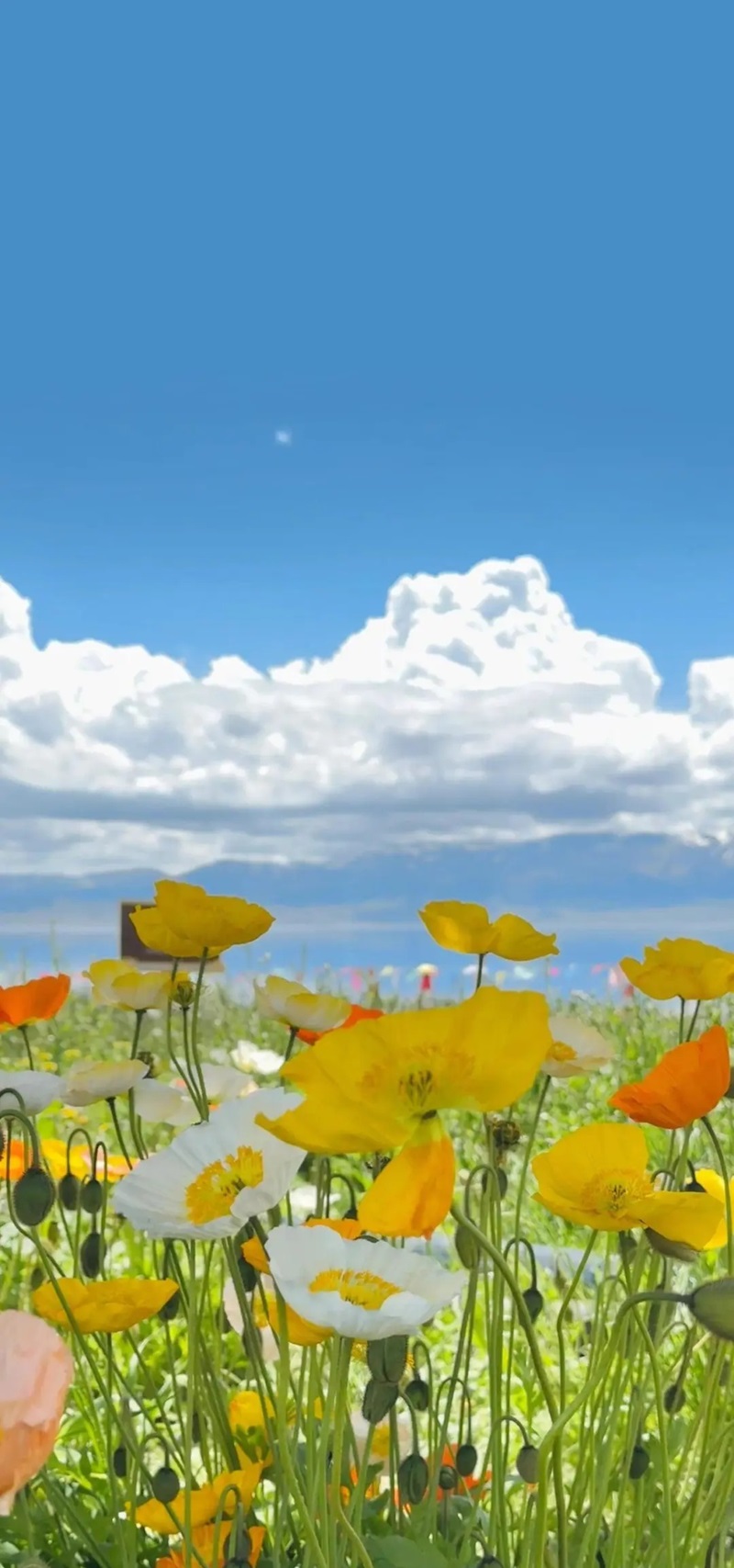 ảnh bầu trời full hd đẹp
