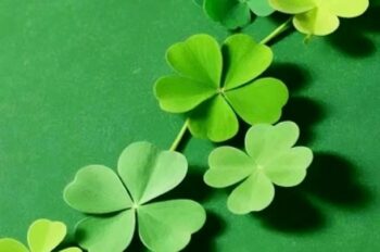 Bộ 1000+ hình nền may mắn được các tỷ phú lựa chọn
