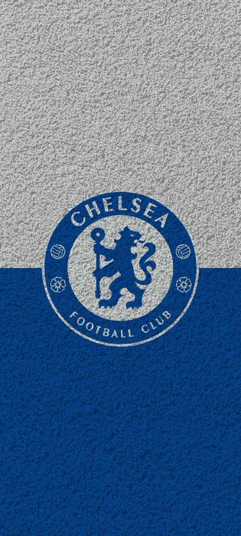 hình nền chelsea 2 màu