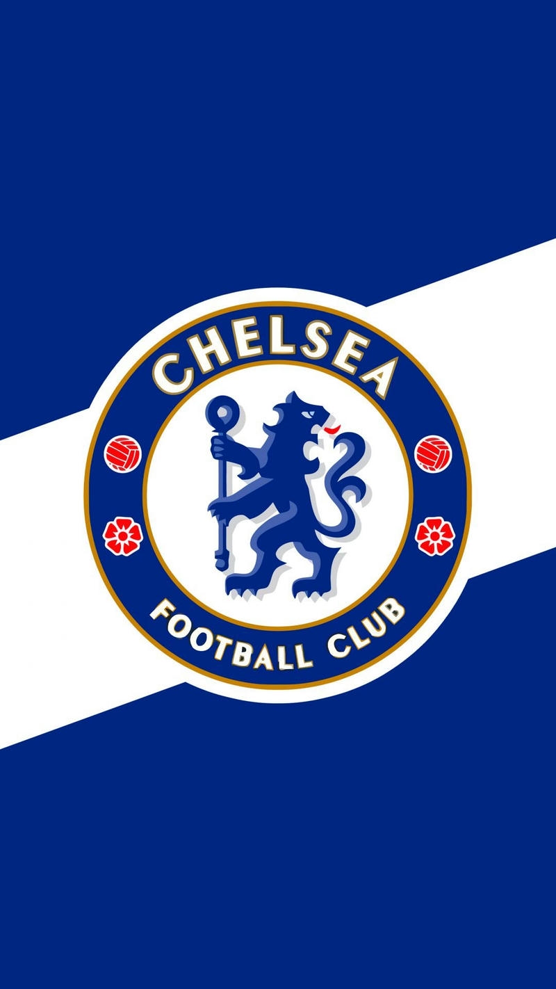hình nền chelsea sư tử cầm gậy