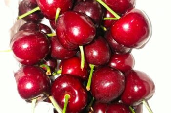 99+ Hình ảnh avatar Cherry ngọt ngào và rực rỡ nhất