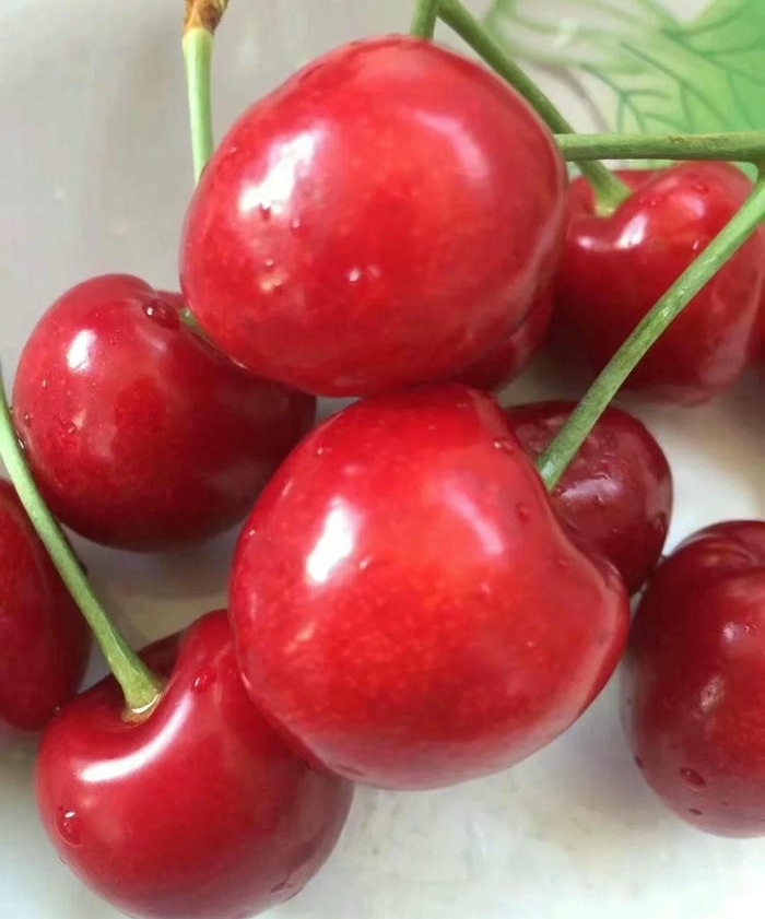 ảnh đại diện cherry siêu đẹp