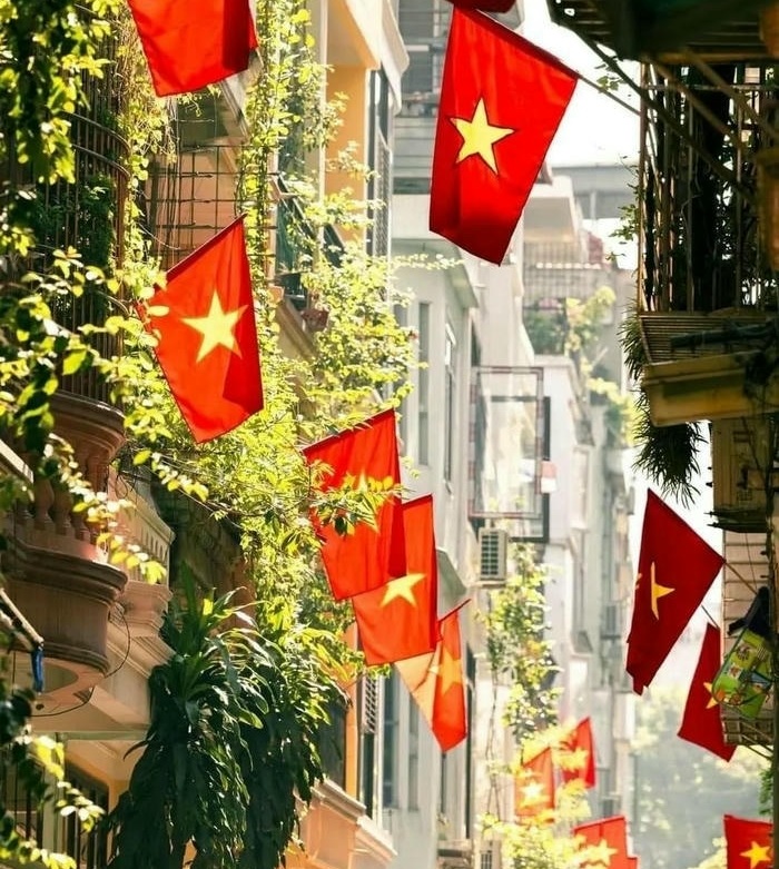 anh đai dien co viet nam
