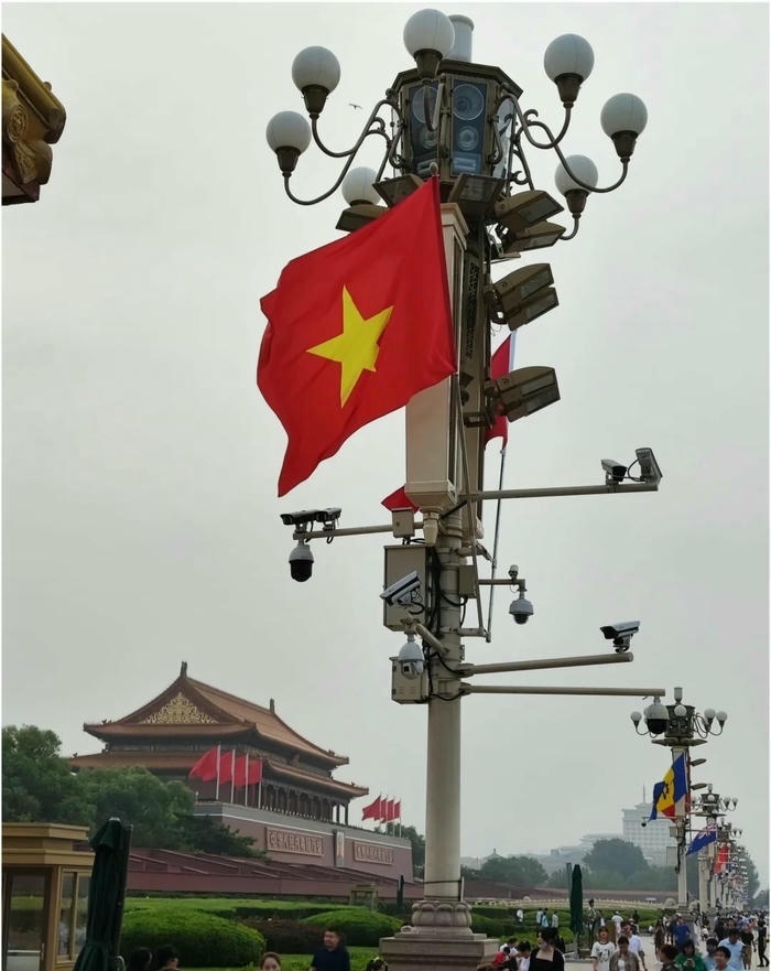 anh đai dien co viet nam đang yeu