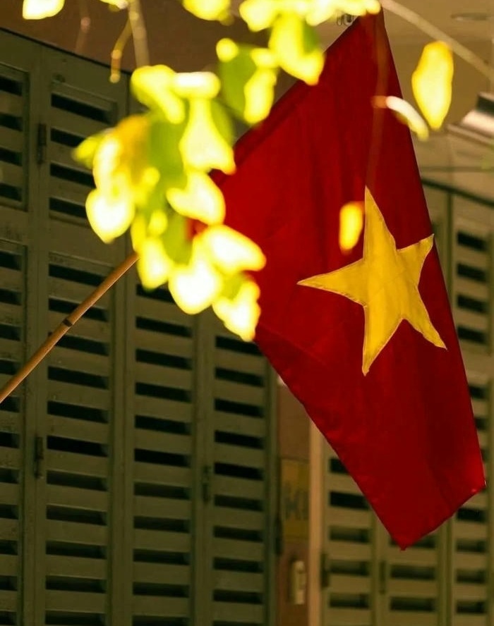 ảnh đại diện cờ việt nam đẹp cực