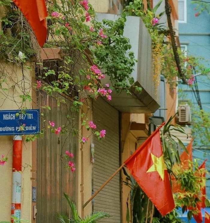 anh đai dien co viet nam đep nhat