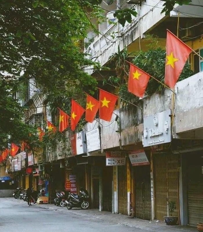 anh đai dien co viet nam đep