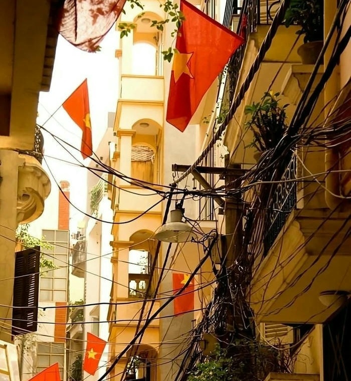 anh đai dien co viet nam sieu đep