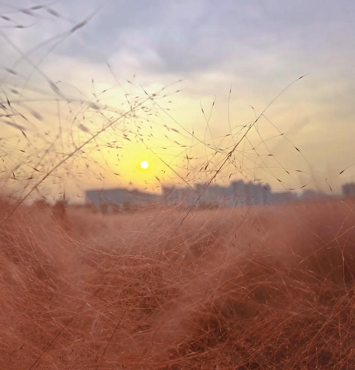 anh đai dien mat troi đep nhat