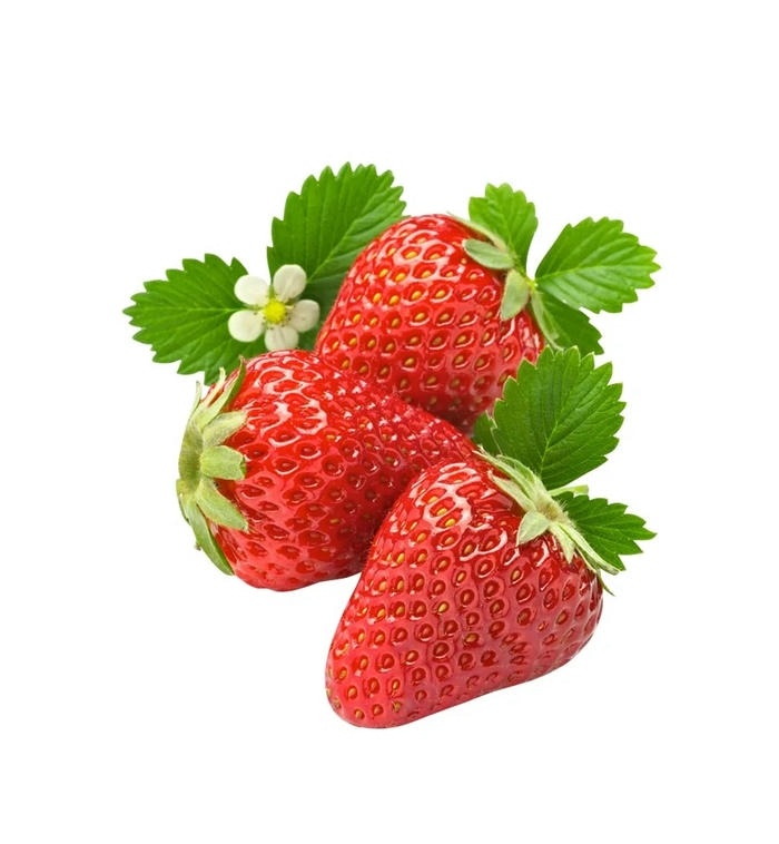 ảnh quả dâu đẹp