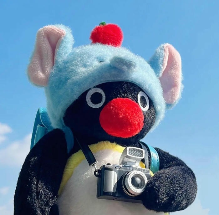avatar cánh cụt cute cực