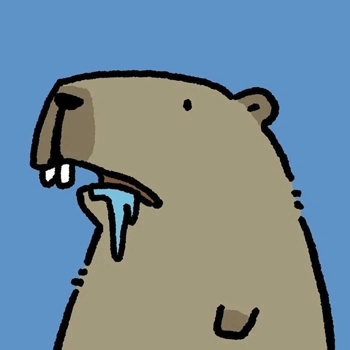 avatar capybara siêu cute