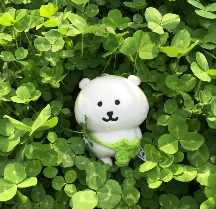 avatar cỏ 4 lá cute cực
