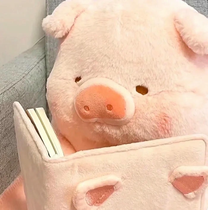 avatar heo cute cực