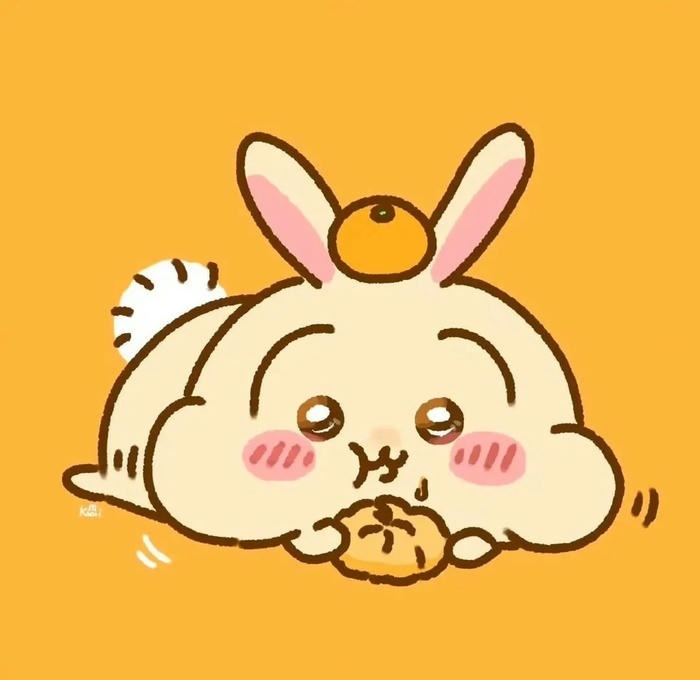avatar quả cam cute cực