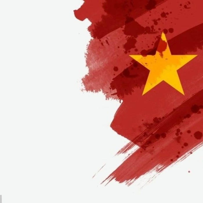 avt cờ việt nam đẹp