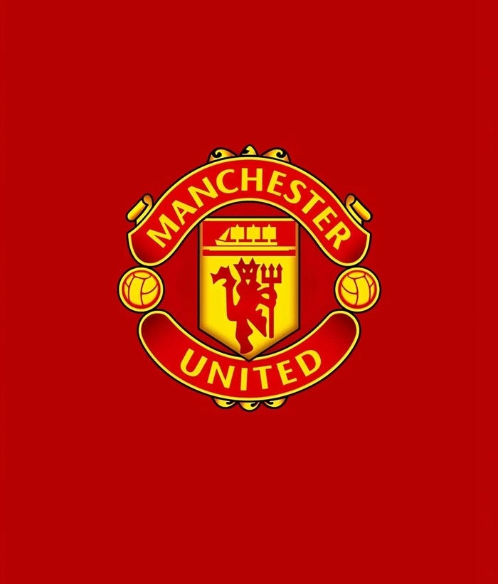 avt manchester united siêu đẹp