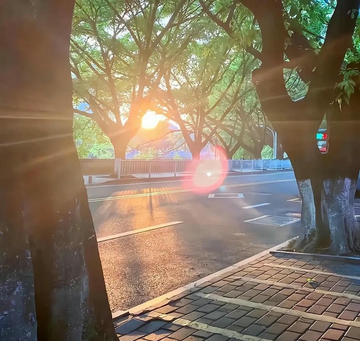 avt mặt trời